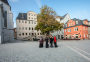 Amalia Quartett Weimar Galerie 6